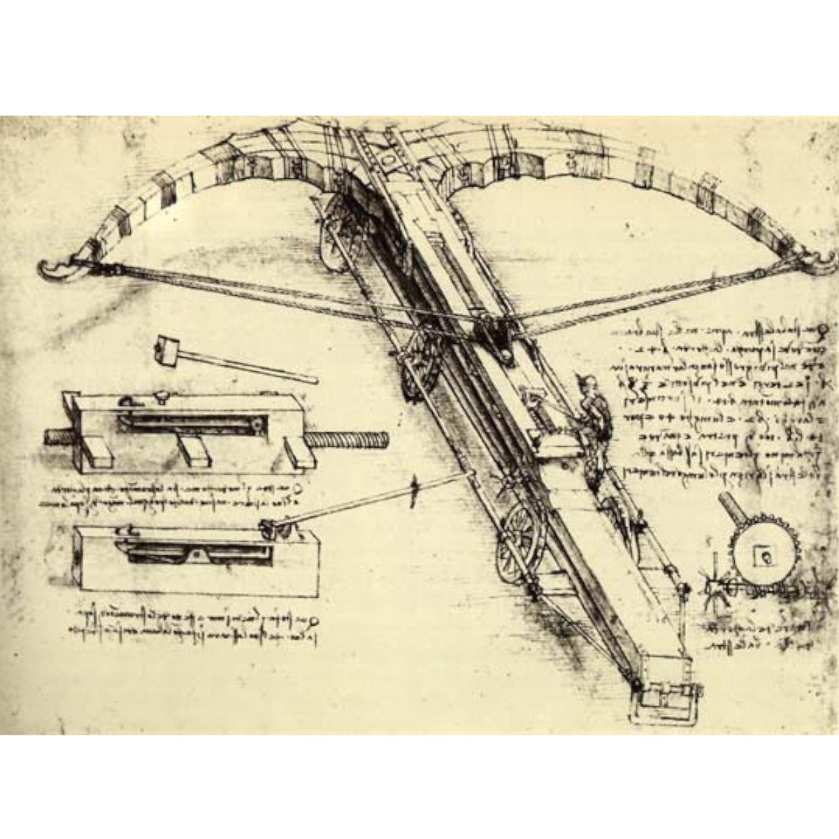 Ballestas y accesorios