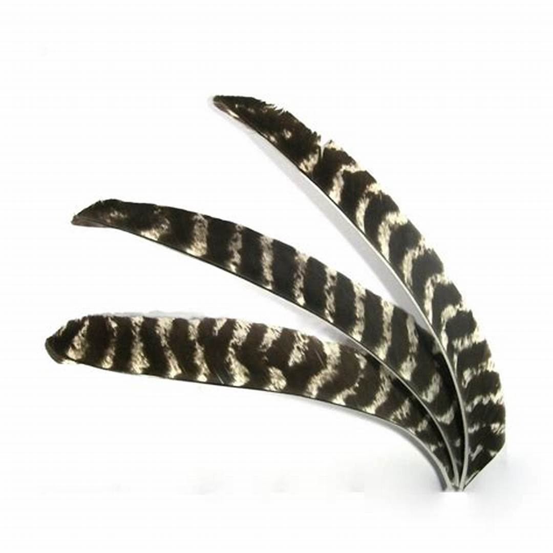 Plumas naturales