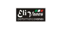 Eli Vanes
