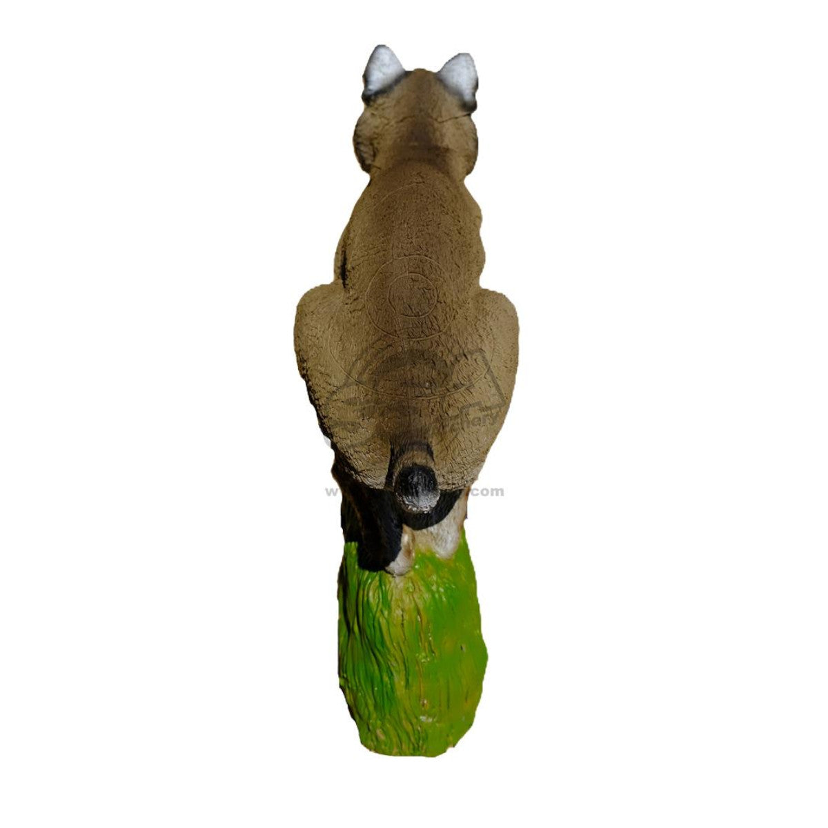 Sagitaria