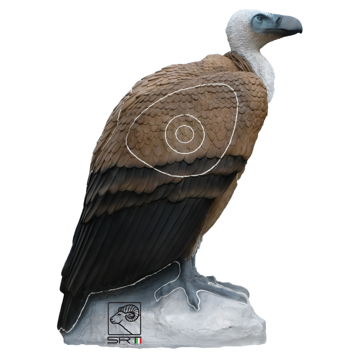 Sagitaria