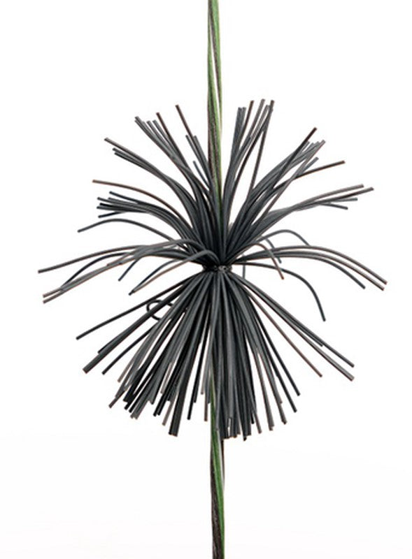 Sagitaria