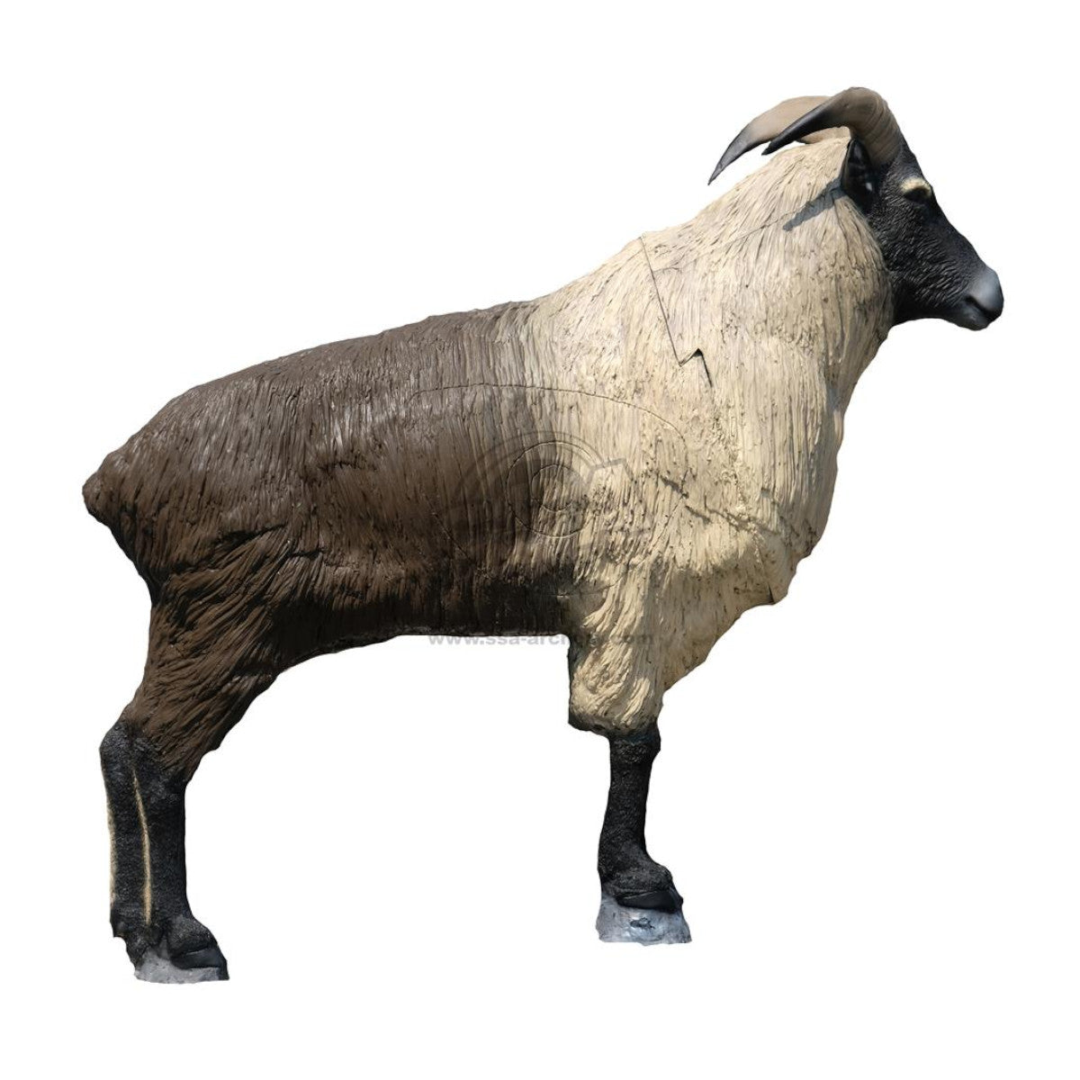 Sagitaria