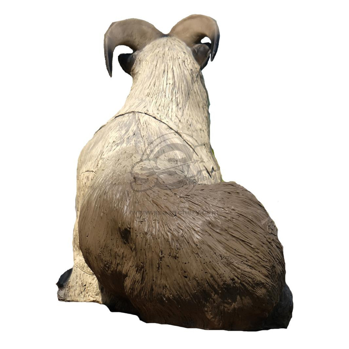 Sagitaria