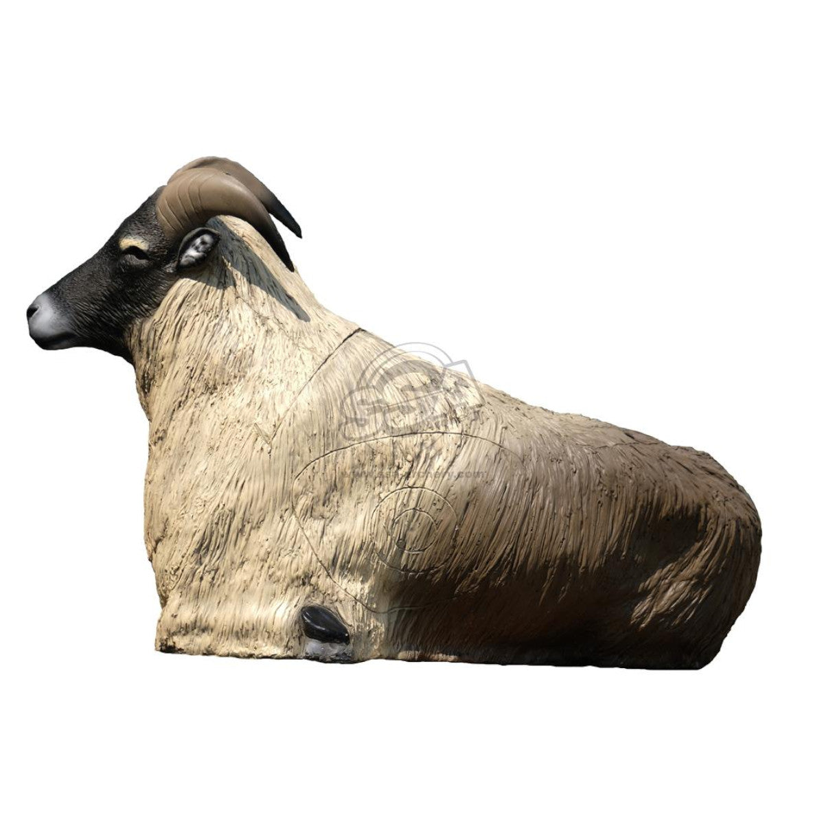 Sagitaria