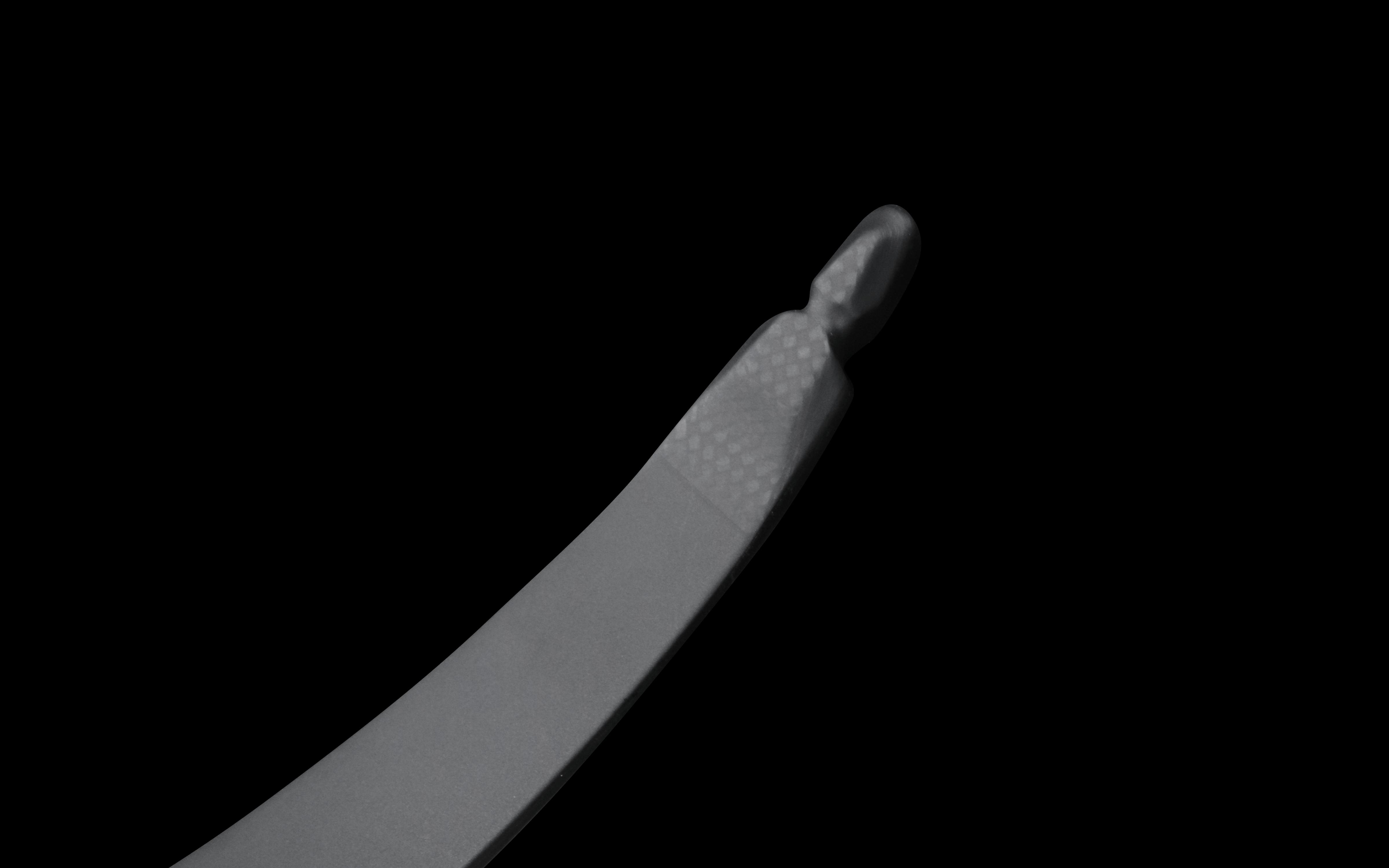 Sagitaria