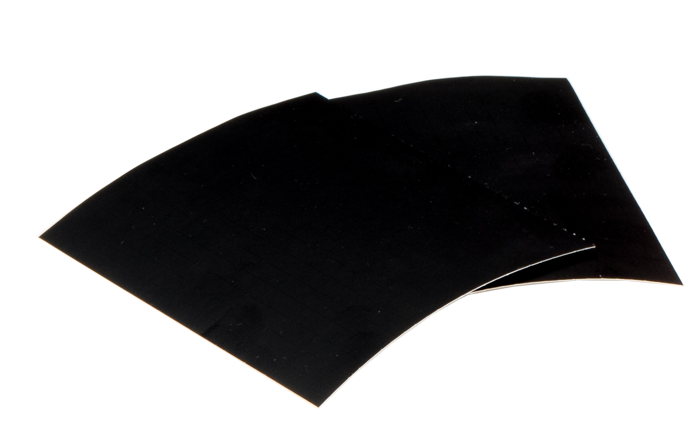 Sagitaria